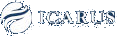 Icarus Technology